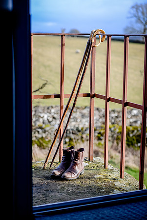 DSC_1977