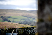 DSC_1990