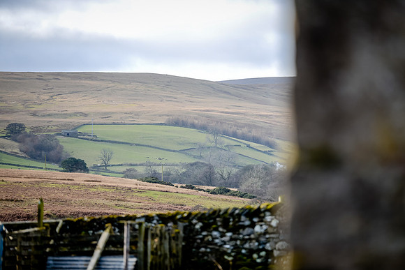 DSC_1990