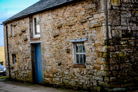 DSC_1991