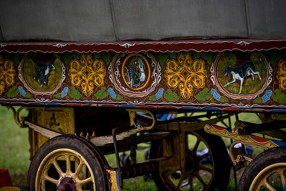 DSC_0951
